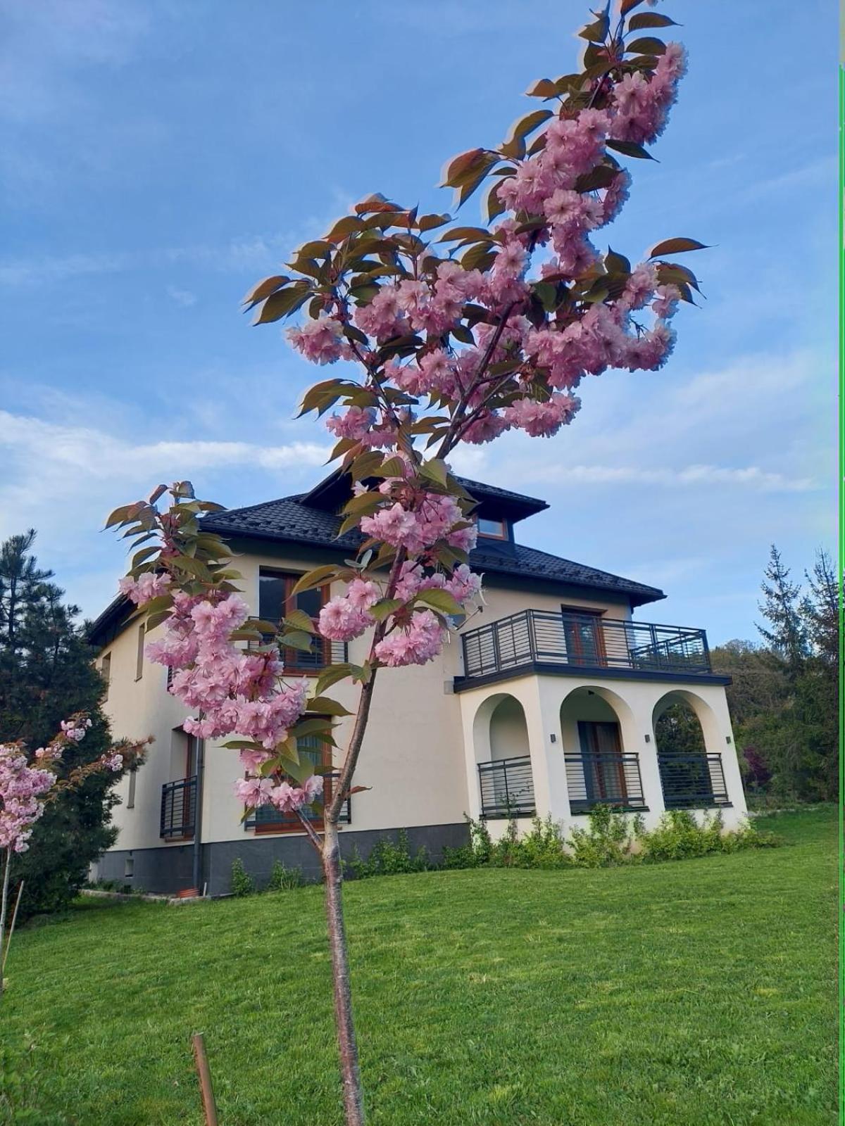 Apartamenty Brenna Klimorowka Dış mekan fotoğraf